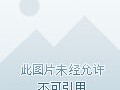 关于接码属于什么犯罪行为类别的案件的信息