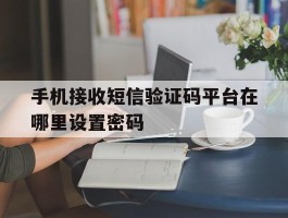 手机接收短信验证码平台在哪里设置密码