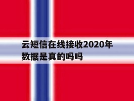云短信在线接收2020年数据是真的吗吗