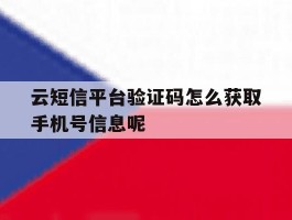 包含云短信平台验证码怎么获取手机号信息呢的词条