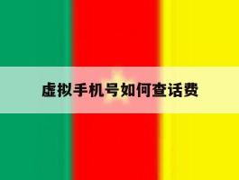 虚拟手机号如何查话费