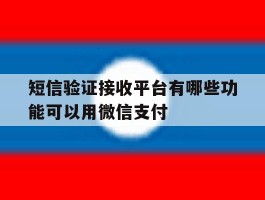 短信验证接收平台有哪些功能可以用微信支付
