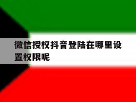 微信授权抖音登陆在哪里设置权限呢