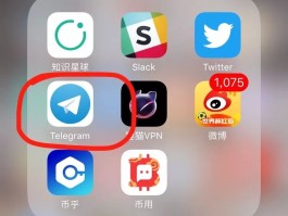 国外电话接码平台有哪些软件可以用的