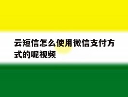 云短信怎么使用微信支付方式的呢视频