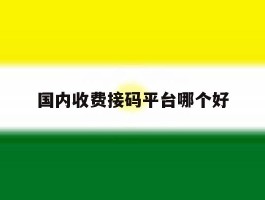 国内收费接码平台哪个好