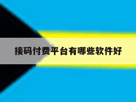 接码付费平台有哪些软件好