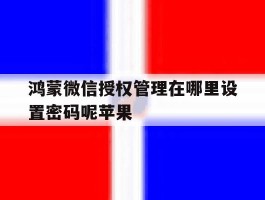 鸿蒙微信授权管理在哪里设置密码呢苹果