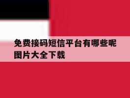 免费接码短信平台有哪些呢图片大全下载