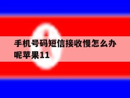 手机号码短信接收慢怎么办呢苹果11的简单介绍