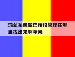 鸿蒙系统微信授权管理在哪里找出来啊苹果