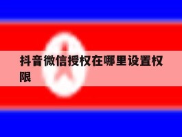 抖音微信授权在哪里设置权限