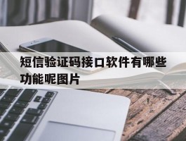 短信验证码接口软件有哪些功能呢图片
