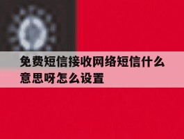 免费短信接收网络短信什么意思呀怎么设置