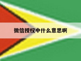 微信授权中什么意思啊
