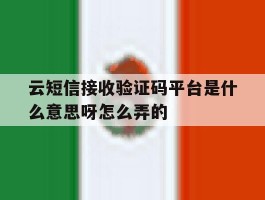 云短信接收验证码平台是什么意思呀怎么弄的