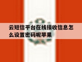云短信平台在线接收信息怎么设置密码呢苹果