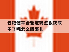 包含云短信平台验证码怎么获取不了呢怎么回事儿的词条