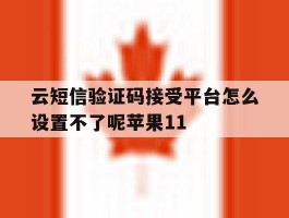 包含云短信验证码接受平台怎么设置不了呢苹果11的词条
