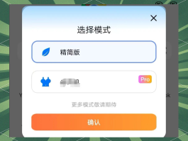 美国手机接码平台是什么软件下载的视频