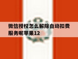 包含微信授权怎么解除自动扣费服务呢苹果12的词条