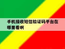 手机接收短信验证码平台在哪里看啊