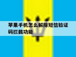 苹果手机怎么解除短信验证码拦截功能