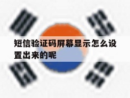 短信验证码屏幕显示怎么设置出来的呢