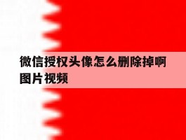 微信授权头像怎么删除掉啊图片视频