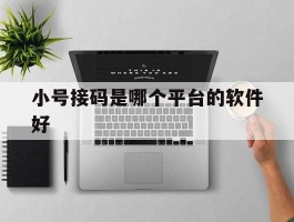 小号接码是哪个平台的软件好