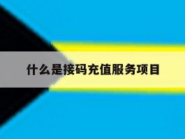 什么是接码充值服务项目
