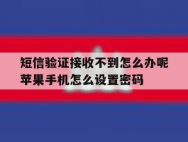 关于短信验证接收不到怎么办呢苹果手机怎么设置密码的信息