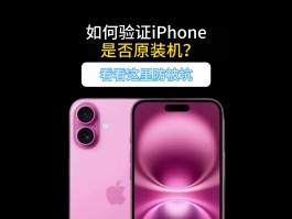 收费虚拟手机号收取验证码是真的吗安全吗苹果的简单介绍