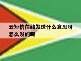 云短信在线发送什么意思呀怎么发的呢的简单介绍