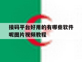 接码平台好用的有哪些软件呢图片视频教程