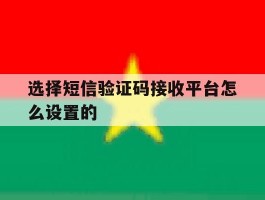 选择短信验证码接收平台怎么设置的