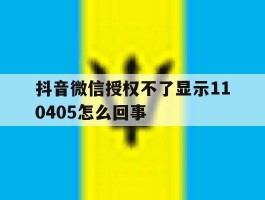 抖音微信授权不了显示110405怎么回事