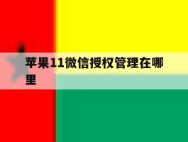 苹果11微信授权管理在哪里