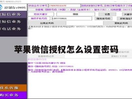 苹果微信授权怎么设置密码