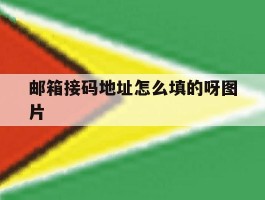 邮箱接码地址怎么填的呀图片