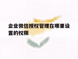 企业微信授权管理在哪里设置的权限