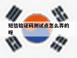 短信验证码测试点怎么弄的呀的简单介绍