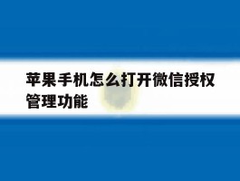 苹果手机怎么打开微信授权管理功能