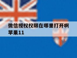 微信授权权限在哪里打开啊苹果11