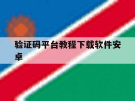 验证码平台教程下载软件安卓