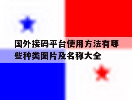 国外接码平台使用方法有哪些种类图片及名称大全的简单介绍