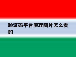 验证码平台原理图片怎么看的