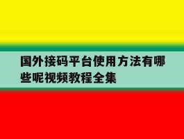 国外接码平台使用方法有哪些呢视频教程全集