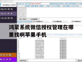 包含鸿蒙系统微信授权管理在哪里找啊苹果手机的词条