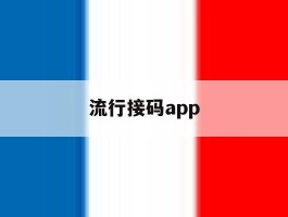 流行接码app